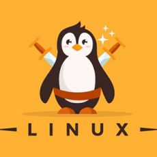 test image